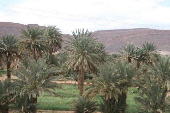 Maggaman Guest House Tafraoute Sidi Ali Екстер'єр фото